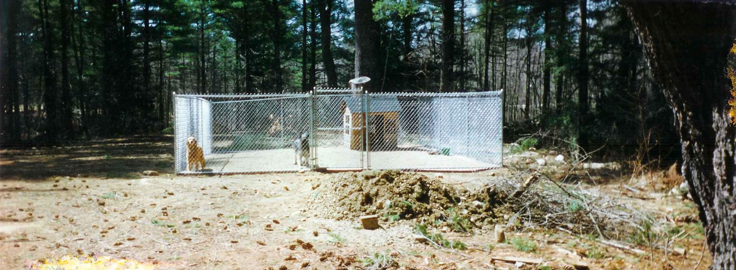 Chain Link Kennel